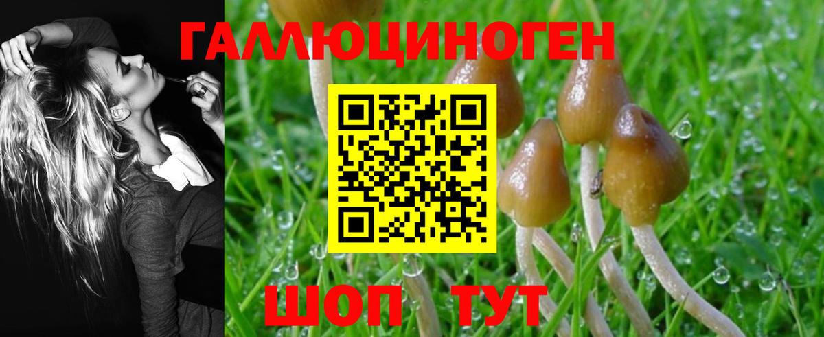 Псилоцибиновые грибы MAGIC MUSHROOMS Ахтубинск