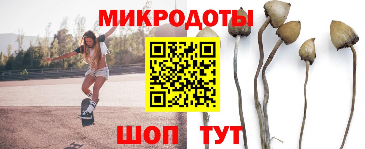Псилоцибиновые грибы мухоморы  цена   Ахтубинск  Вход с VPN  Псилоцибиновые грибы прущие грибы 