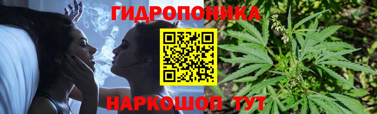Марихуана сатива Ахтубинск